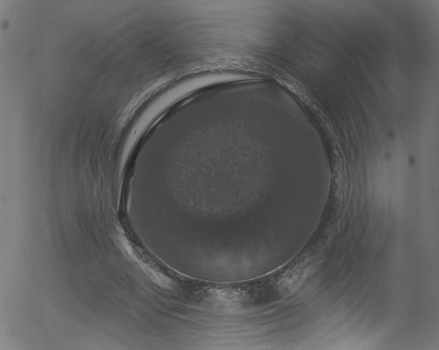 X0000056330442200508291256