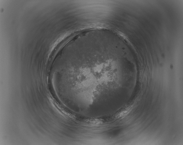 X0000056330443200508291256