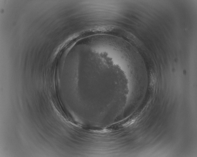 X0000056330444200508291256