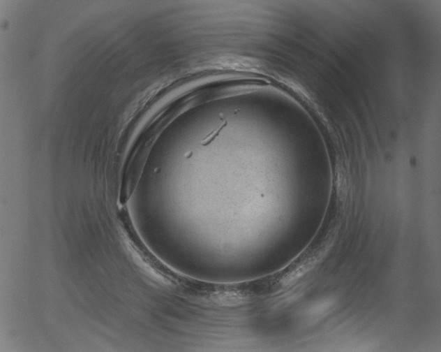 X0000056330445200508291256