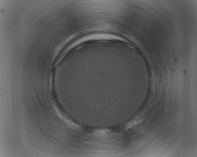 X0000056330446200508291256