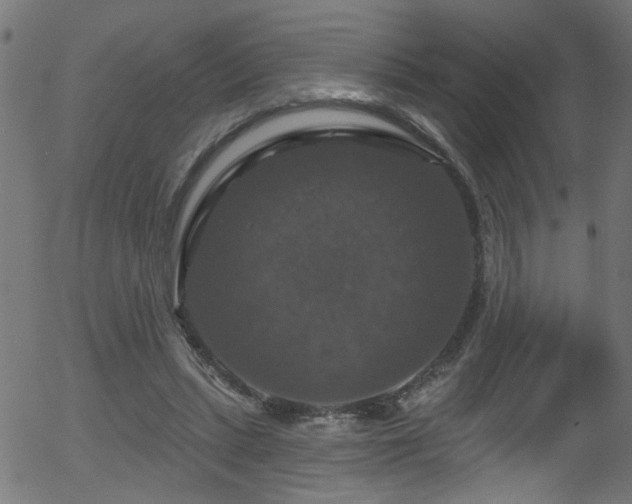 X0000056330447200508291256