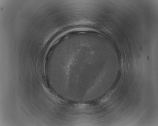 X0000056330448200508291256