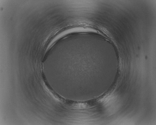 X0000056330449200508291256