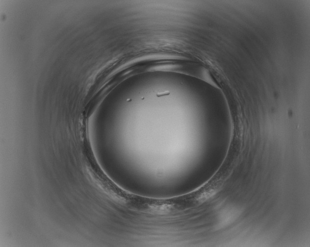 X0000056330450200508291256