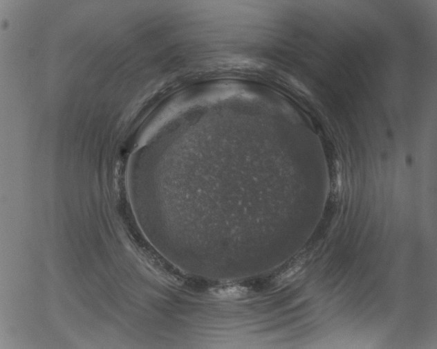 X0000056330452200508291256