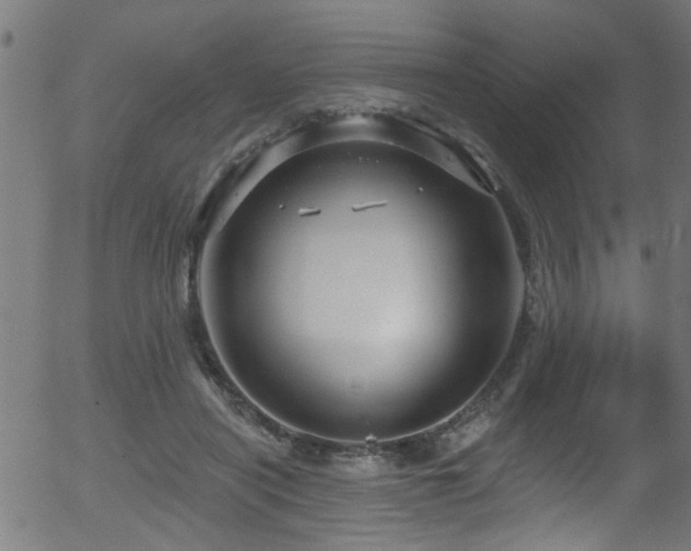 X0000056330454200508291256