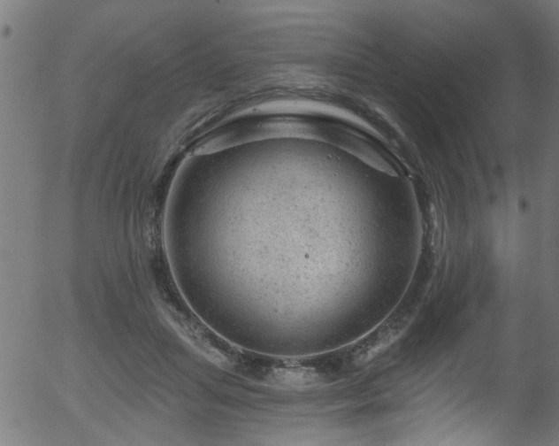 X0000056330455200508291256