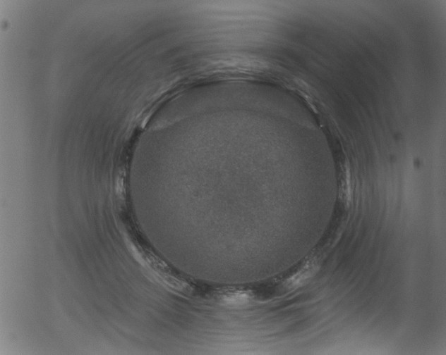 X0000056330456200508291256