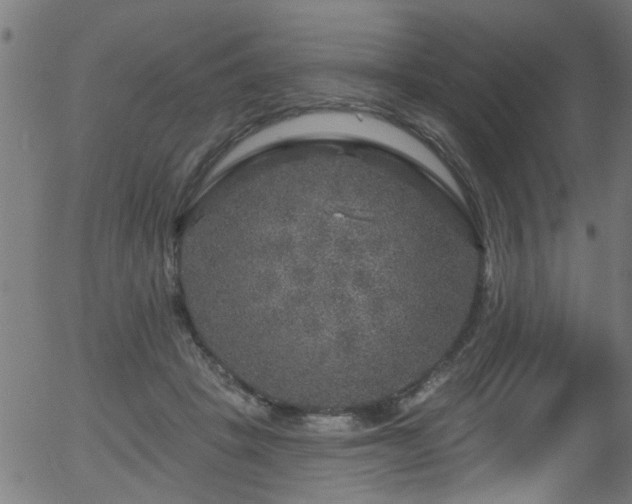 X0000056330457200508291256