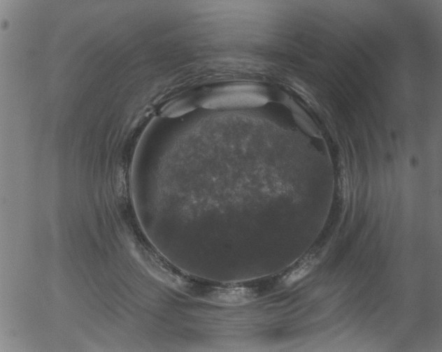 X0000056330459200508291256