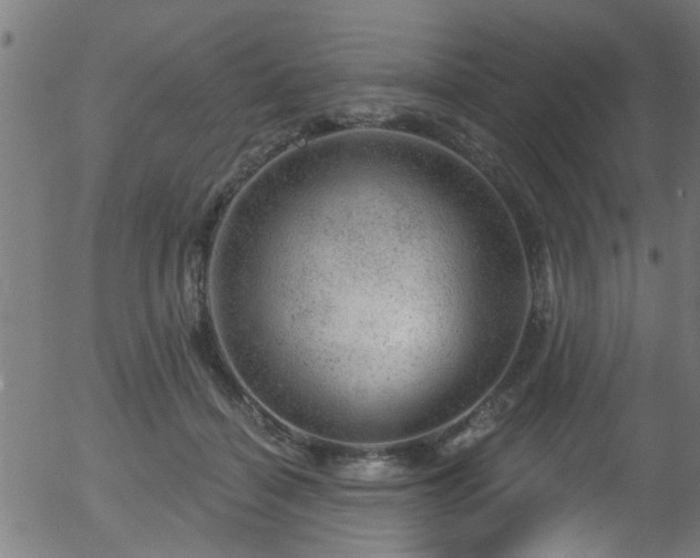 X0000056330460200508291256