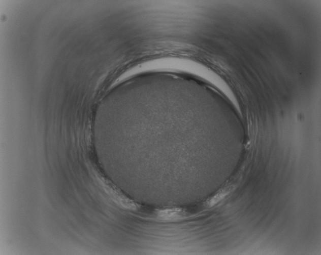 X0000056330461200508291256