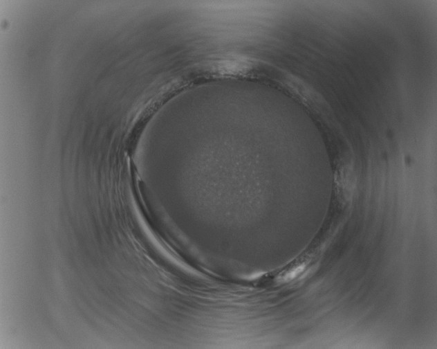 X0000056330462200508291256