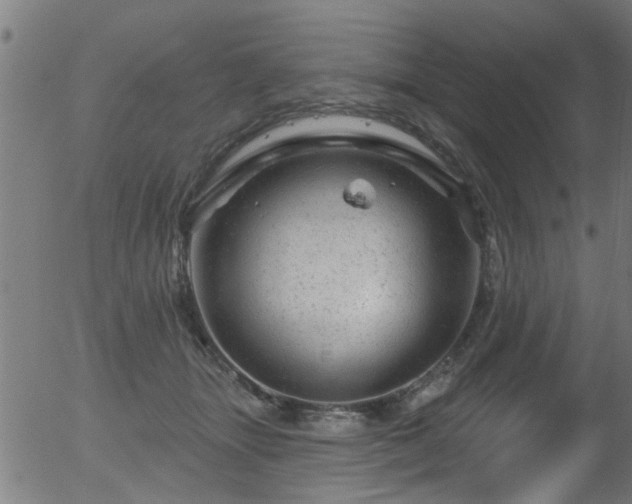 X0000056330463200508291256