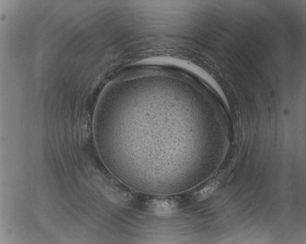 X0000056330464200508291256