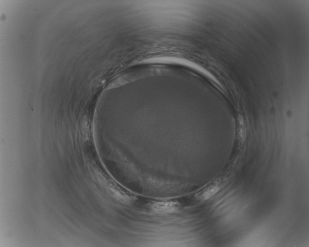 X0000056330465200508291256