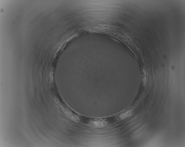 X0000056330466200508291256