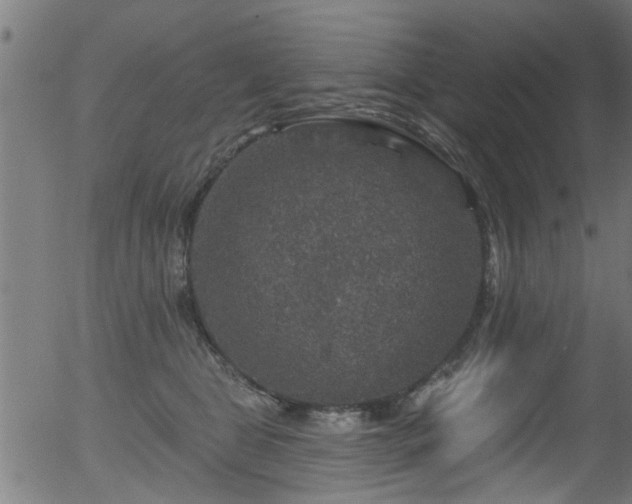 X0000056330469200508291257