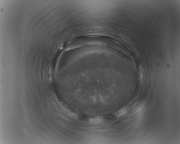 X0000056330470200508291257