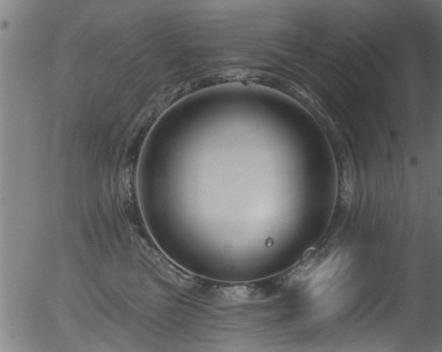 X0000056330473200508291257