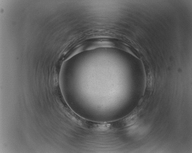 X0000056330474200508291257