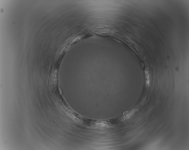 X0000056330475200508291257