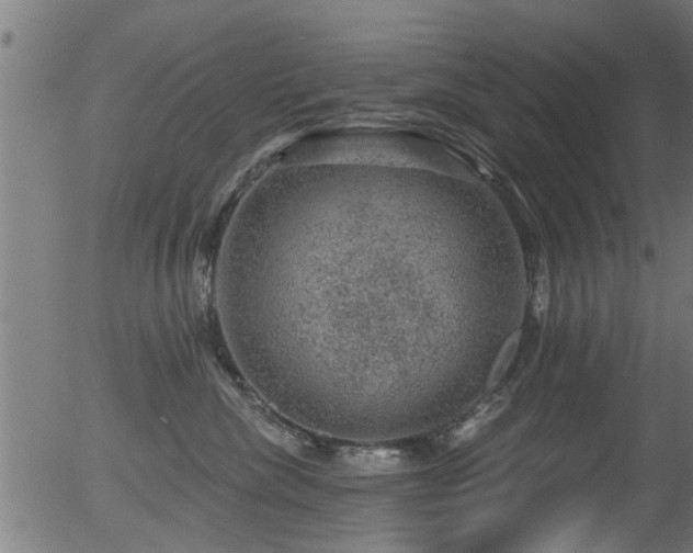 X0000056330476200508291257