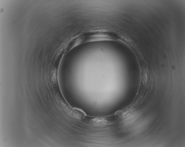 X0000056330477200508291257