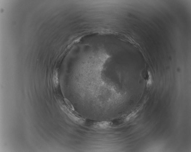 X0000056330479200508291257