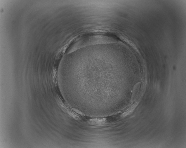 X0000056330480200508291257