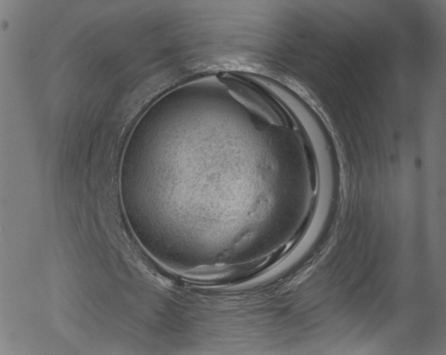 X0000056330481200508291256