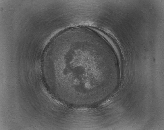 X0000056330483200508291256