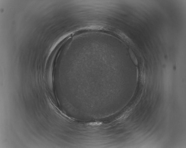 X0000056330484200508291256