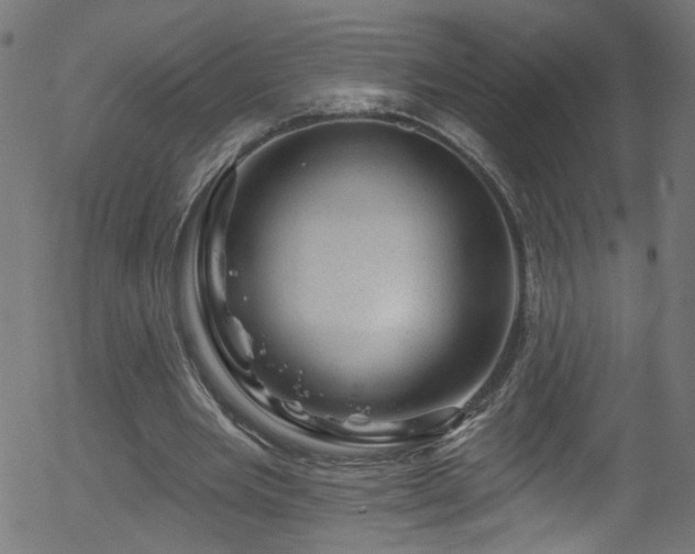 X0000056330485200508291256