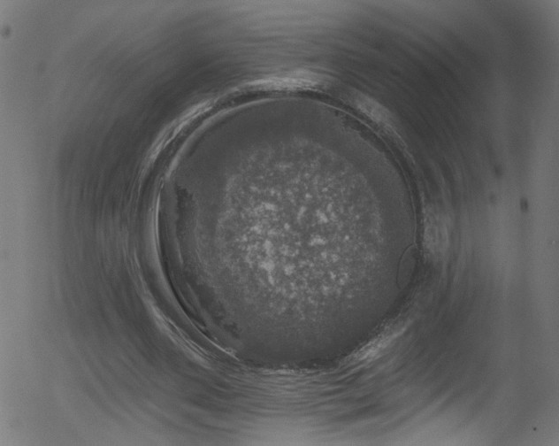 X0000056330486200508291256