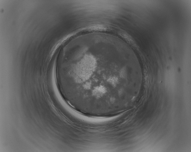 X0000056330487200508291256