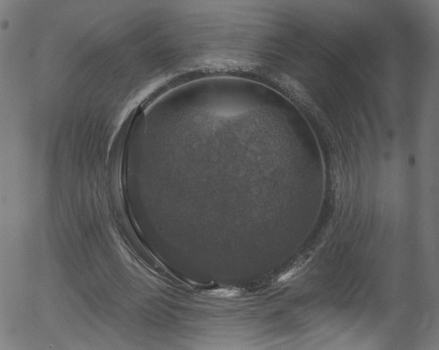 X0000056330488200508291256