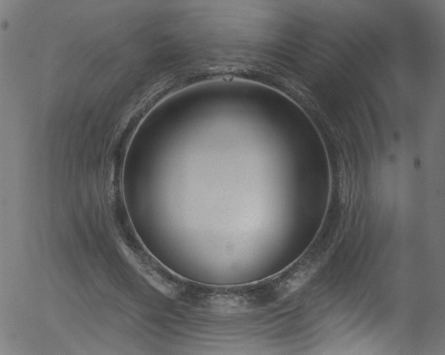 X0000056330490200508291256