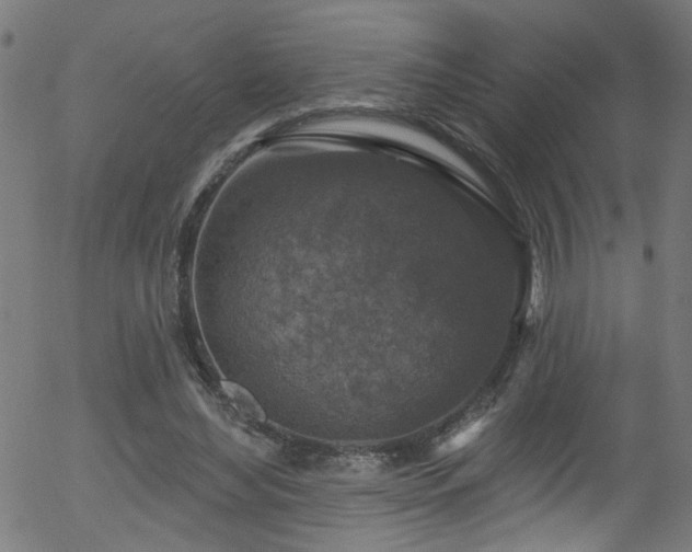 X0000056330492200508291256