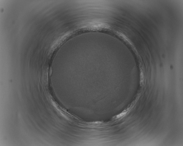 X0000056330493200508291256