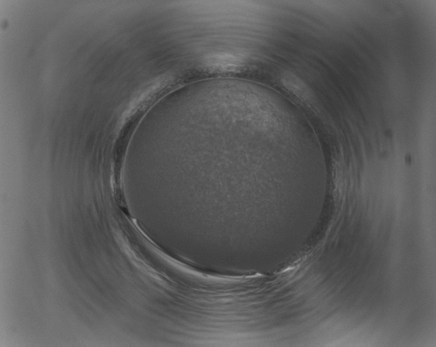 X0000056330494200508291256