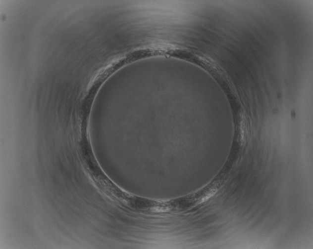 X0000056330496200508291256