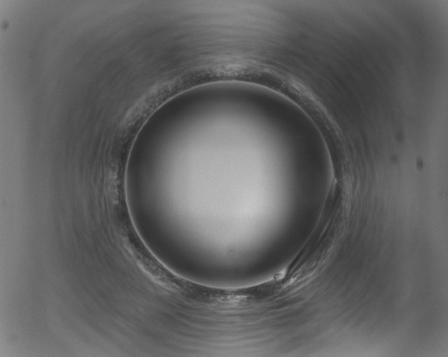 X0000056330497200508291256