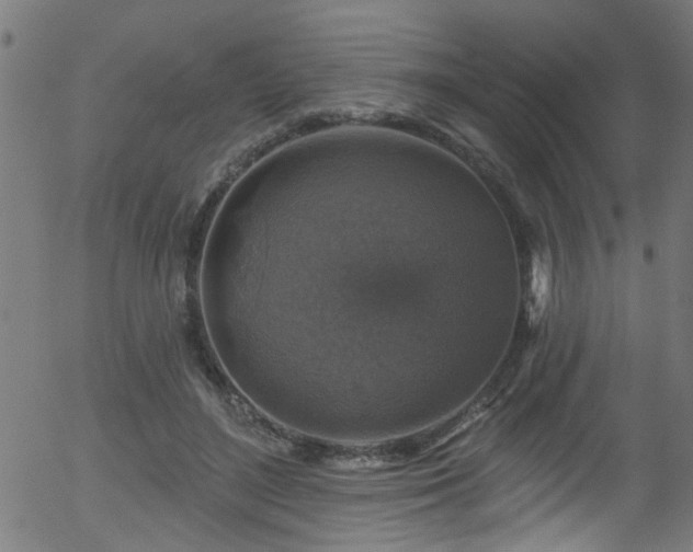 X0000056330500200508291256