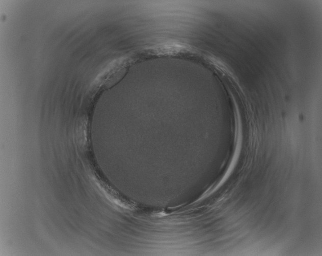 X0000056330501200508291256