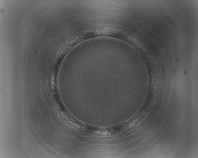 X0000056330502200508291256