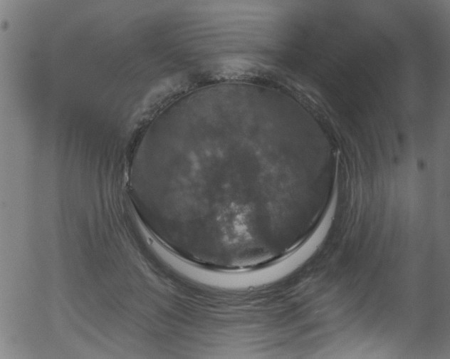 X0000056330503200508291256