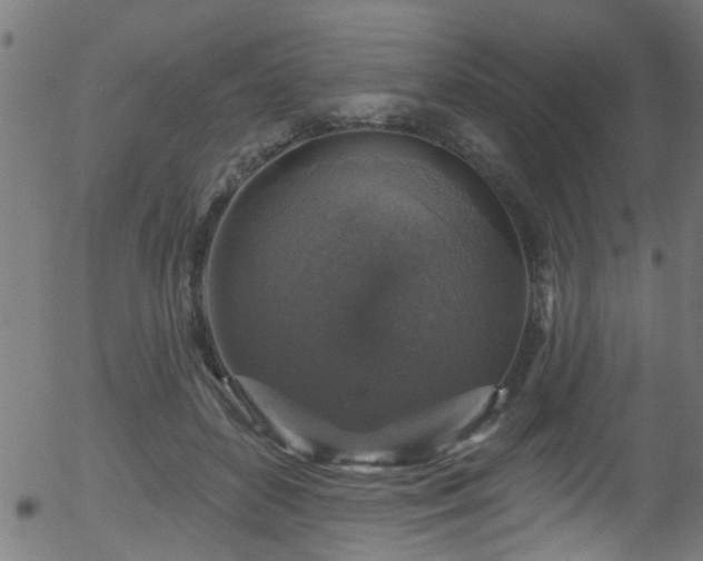 X0000056330504200508291256