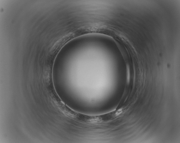 X0000056330505200508291256